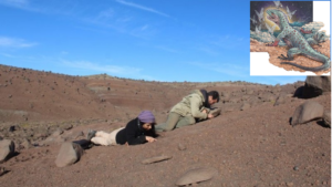 El Calafate, hallazgo paleontológico, lagarto, Santa Cruz