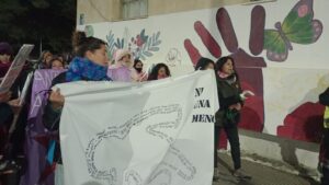 Daniela Velazco, Femicidios, Multisectorial de Mujeres, Ni una Menos