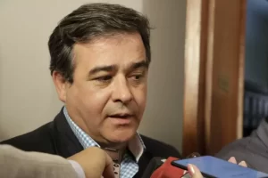 economía, Meiszner