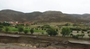 Emergencia climática