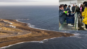 Camarones, Chubut, desarrollo pesquero