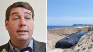 Chubut, erosión costera, geotubos, Playa Unión