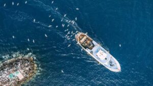 acuicultura, Exportaciones, pesca