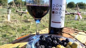 oliva, Río Negro, vinos