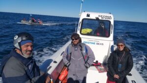 cenpat, orcas, Península Valdés, senado