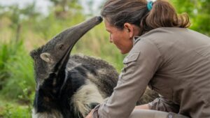 Corrientes, ecosistema