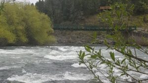 Corcovado, pesca, salmon