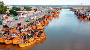 Puerto Madryn., SOMU, STIA