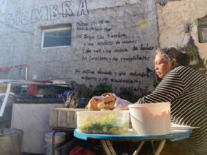 comedores, Madryn, Merenderos