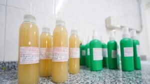 dengue, Neuquén, repelente