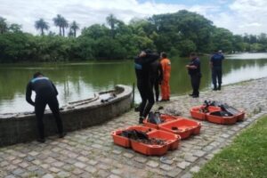 desaparecido, palermo