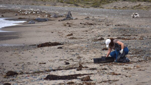 Isla Escondida, residuos