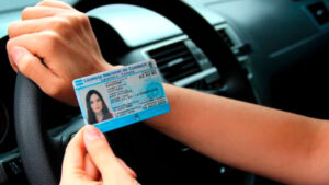 gobierno, Licencias