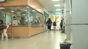 3 niños quemados, Comodoro Rivadavia, pediatría, pirotecnia