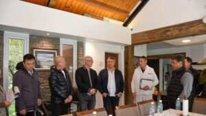 chinos, guanaco, Hong Dong