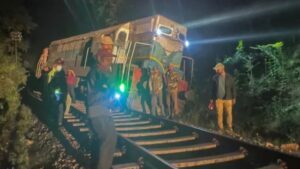 elefantes, Sri Lanka, tren