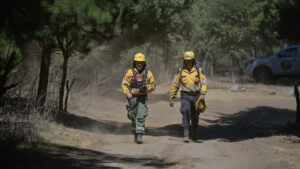 El Pedregoso, Incendio Forestal