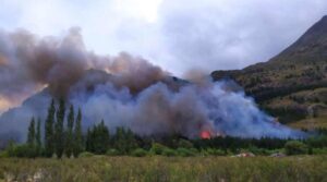 incendios, Javier Milei, Manejo del fuego