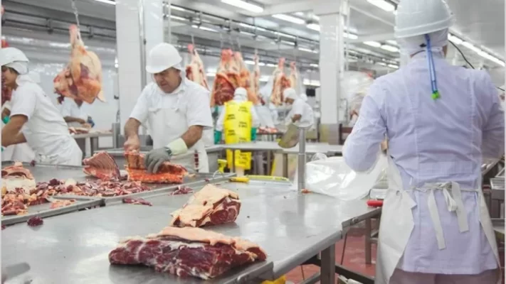carne, Exportaciones