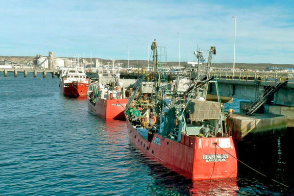 capip, Madryn