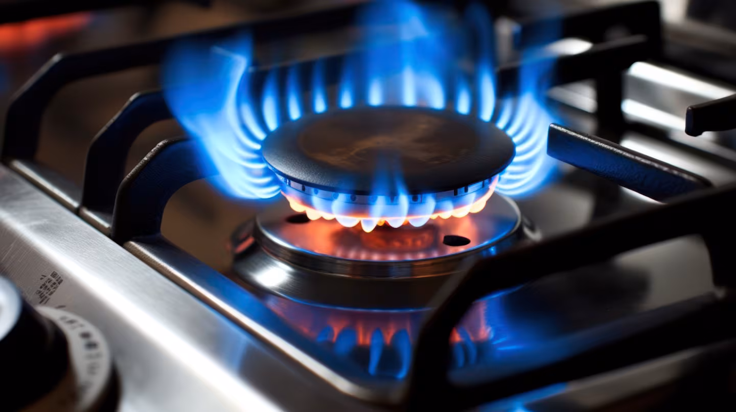 subsidios, Zona Fría