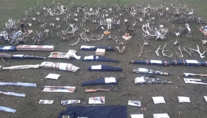 abigeato, Megaoperativo