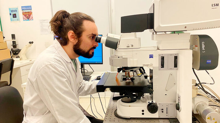 células beta, conicet, Diabetes