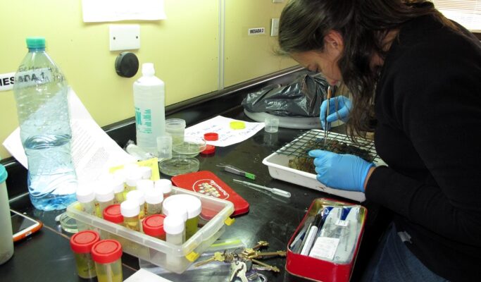 cenpat, Golfo Nuevo, Madryn