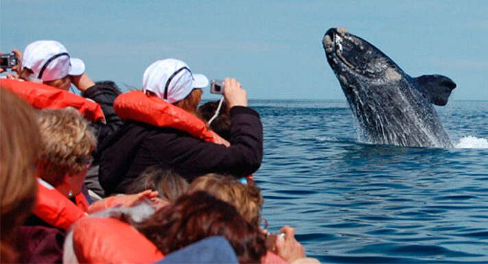 ballenas, Chubut