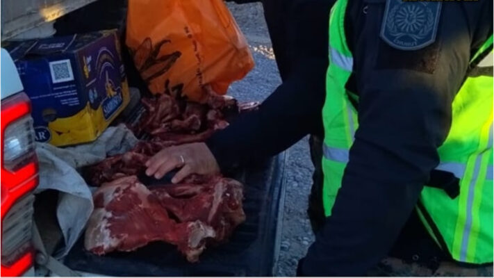 cazadores ilegales, guanacos