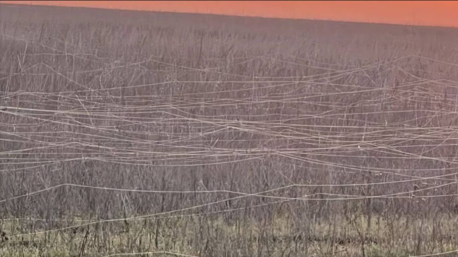 Cables de fibra óptica inundando un campo en Ucrania
