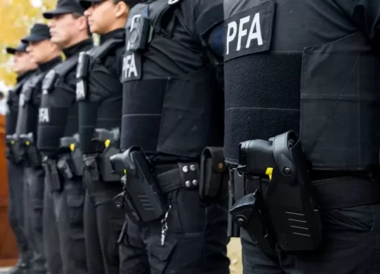 Policía Federal, reforma