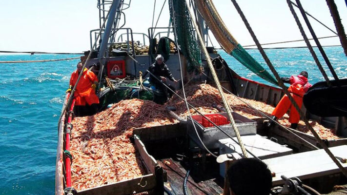 Fresqueros, langostino