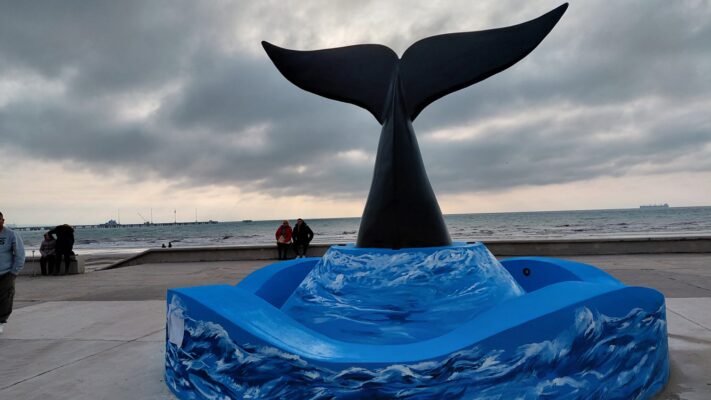 ballena, Madryn, Monumento