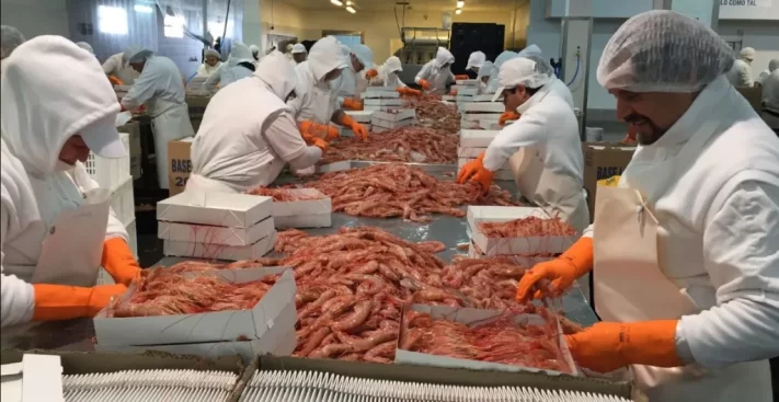 conflicto, SOMU, STIA