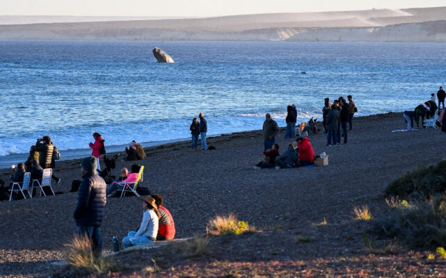 Madryn, turismo