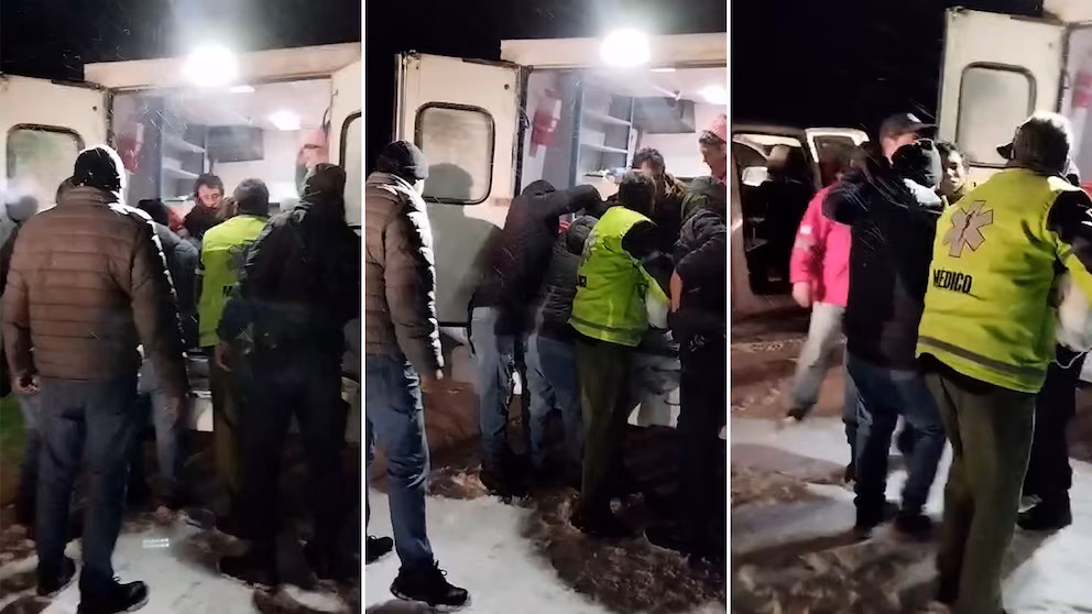 hipotermia, perros, Río Negro, temporal