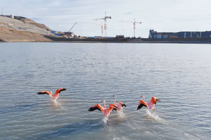 ENARSA, Gezhouba, represa Cepernic