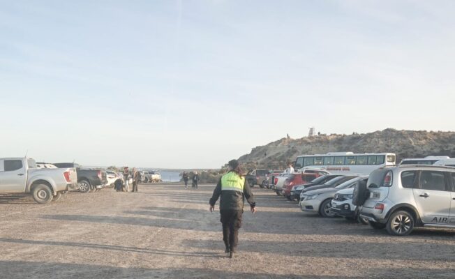 El Doradillo, Madryn