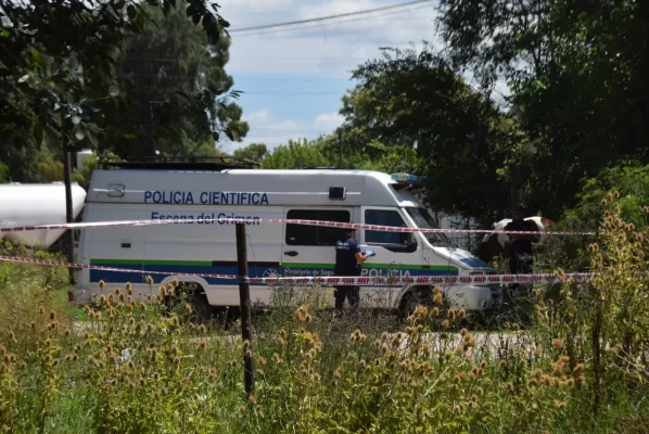 La Plata, mordeduras, perros