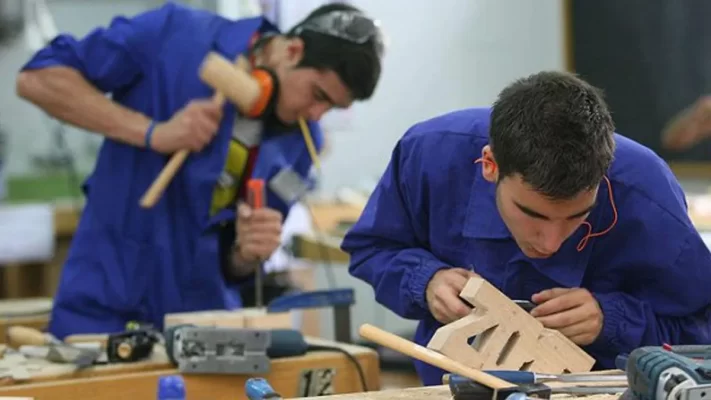 empleo, programa