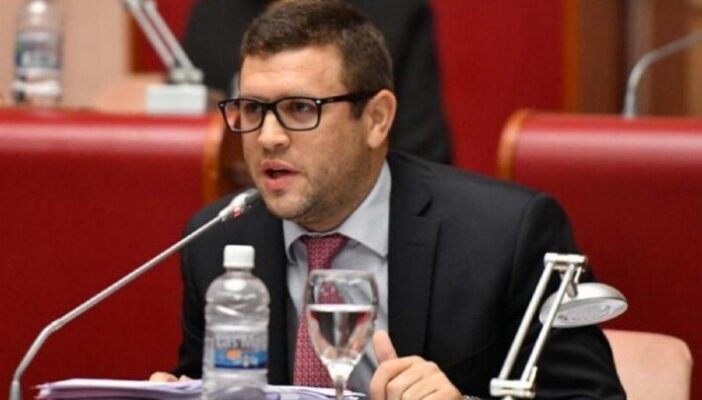 diputados, publicidad oficial