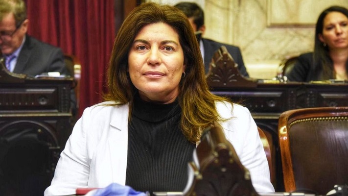 Ana Clara Romero, diputada