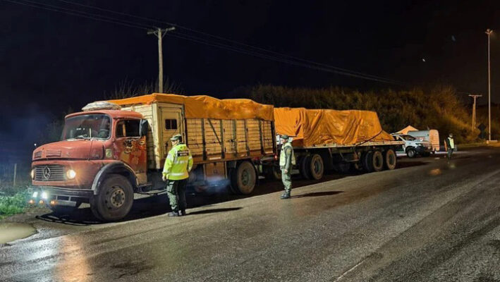 Cañuelas, medicamentos