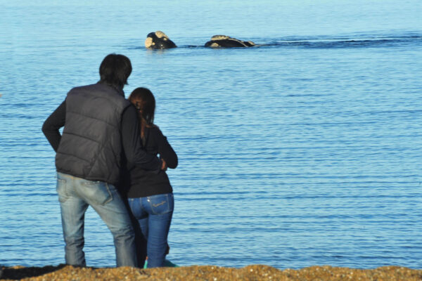 Madryn, turismo