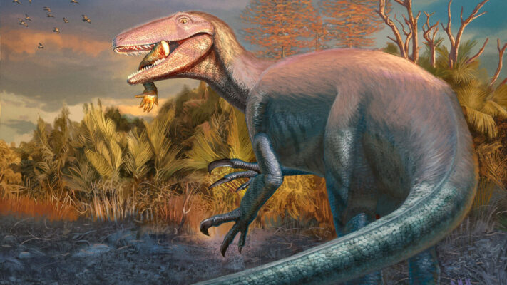 conicet, dinosaurio, megarraptórido