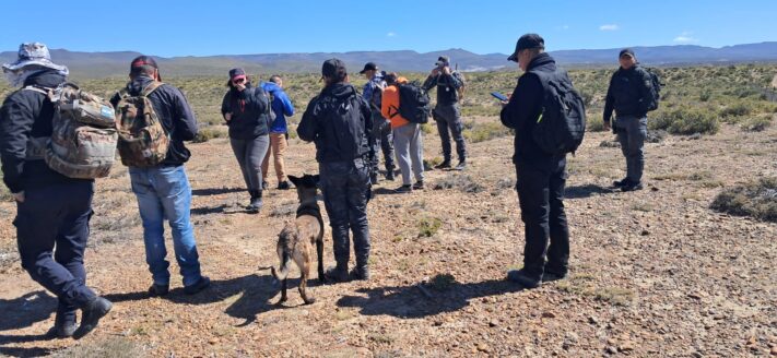 búsqueda, desaparecidos, pareja desaparecida