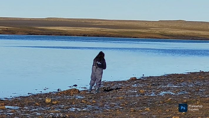 algas, invertebrados, Madryn