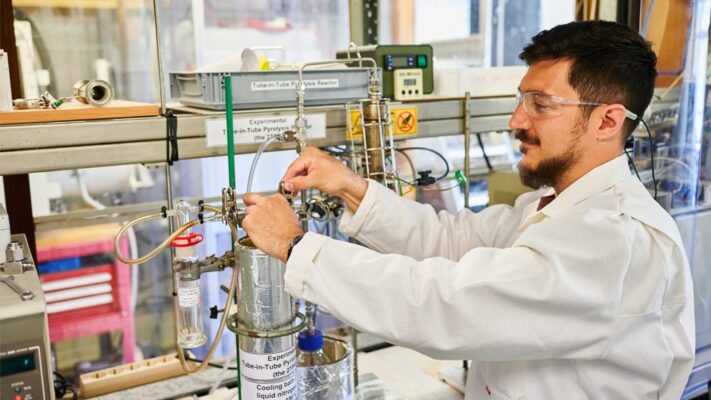 bioaceite, yerba mate