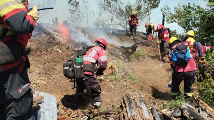 El Turbio, Incendio Forestal